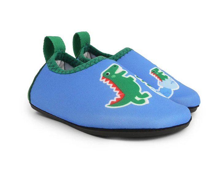 Aqua Shoe