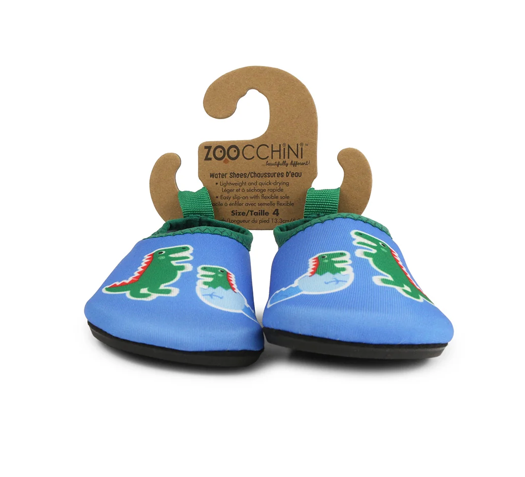 Aqua Shoe