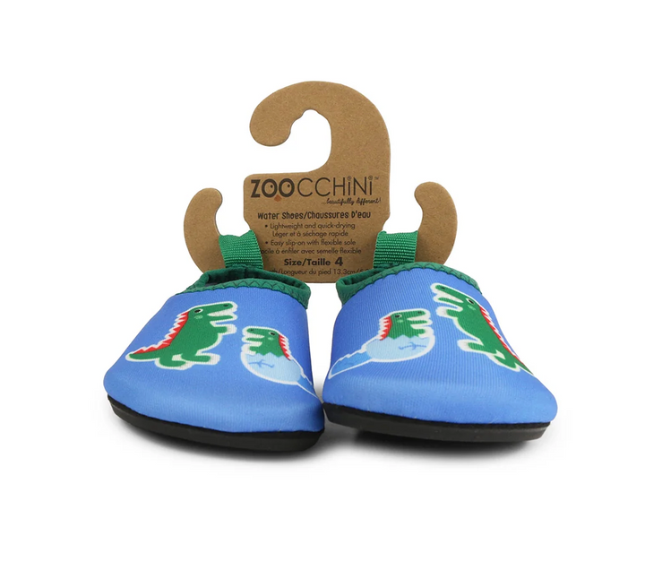Aqua Shoe