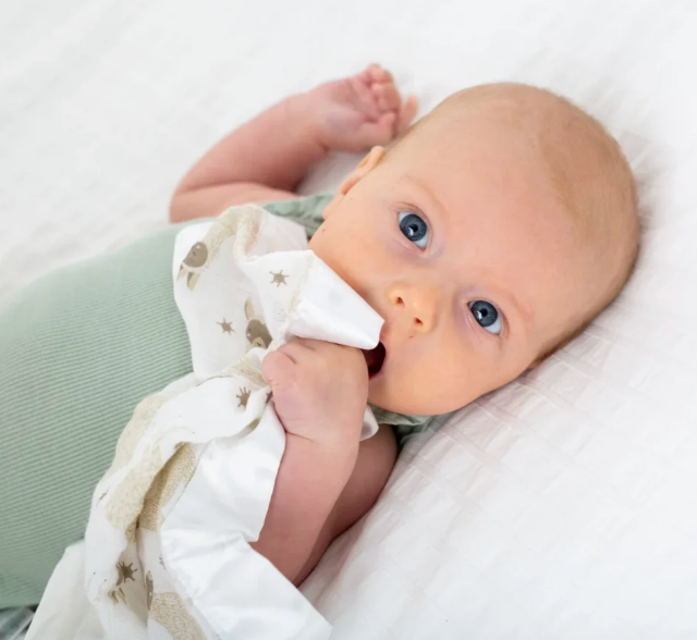 Muslin Essentials Bundle