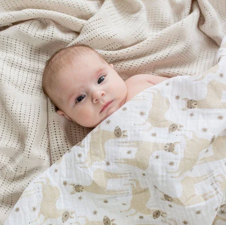 Muslin Essentials Bundle