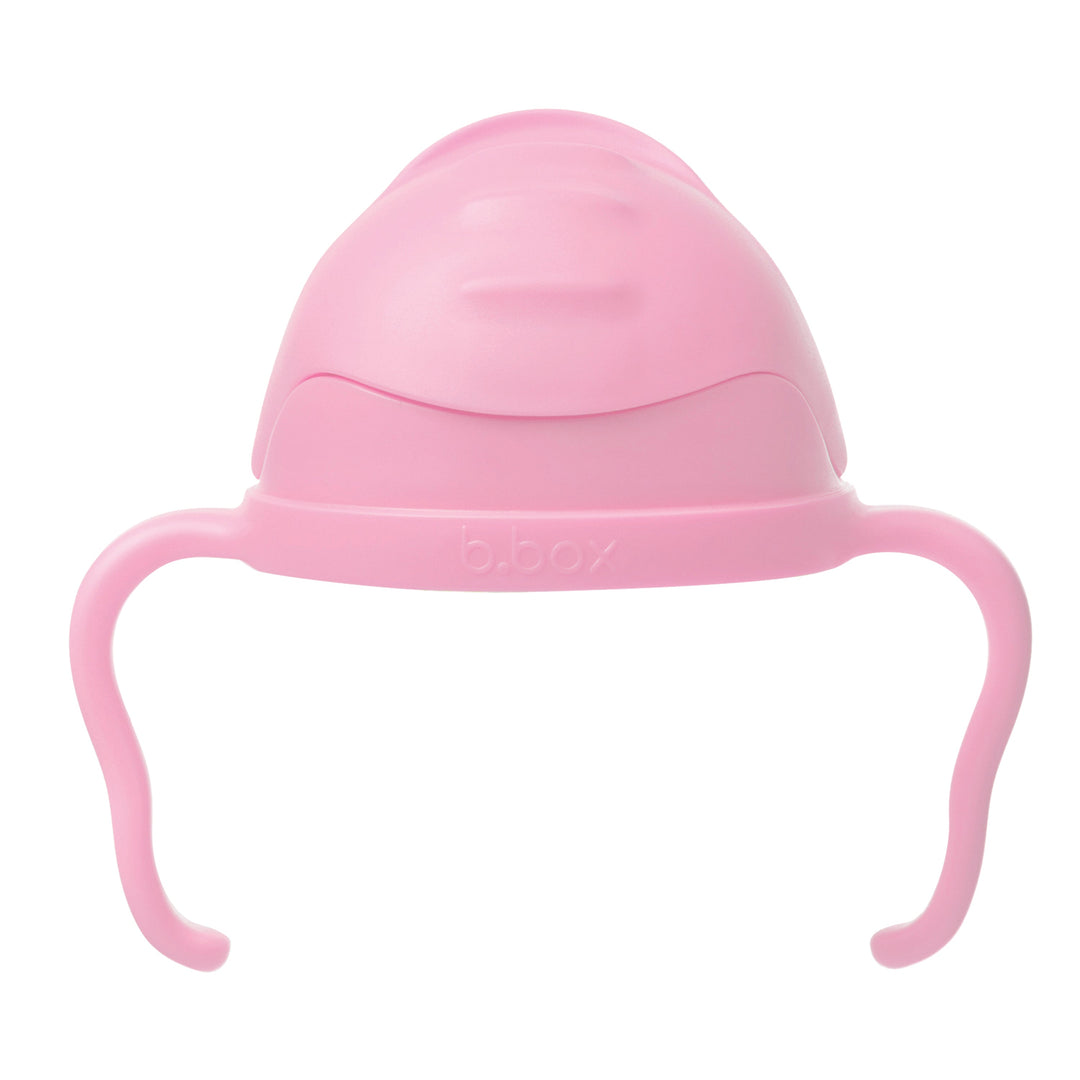 Sippy Straw Cup 240ml