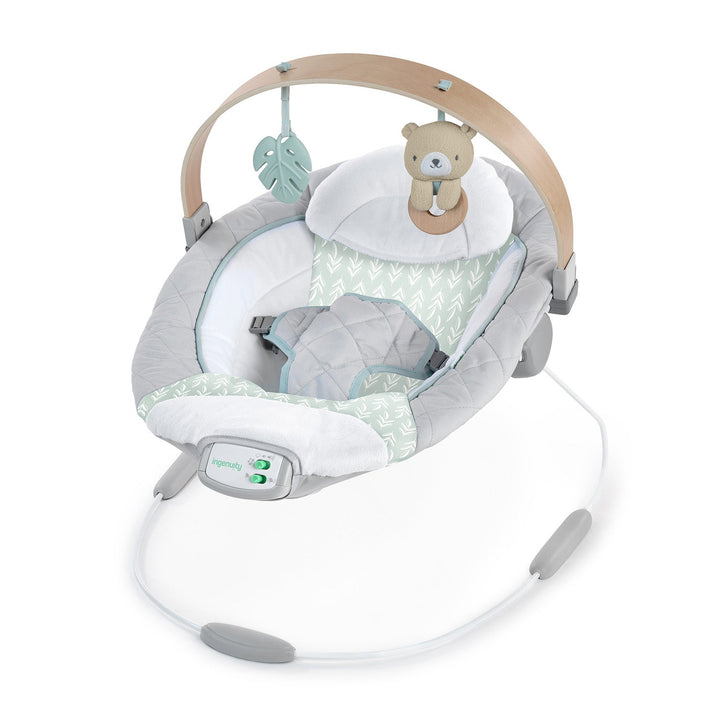 Ingenuity - Cozy Spot Soothing Bouncer Cozy Spot™ Soothing Bouncer 074451131040