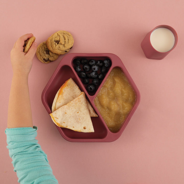 Silicone Plate and Lid Set- Burgundy