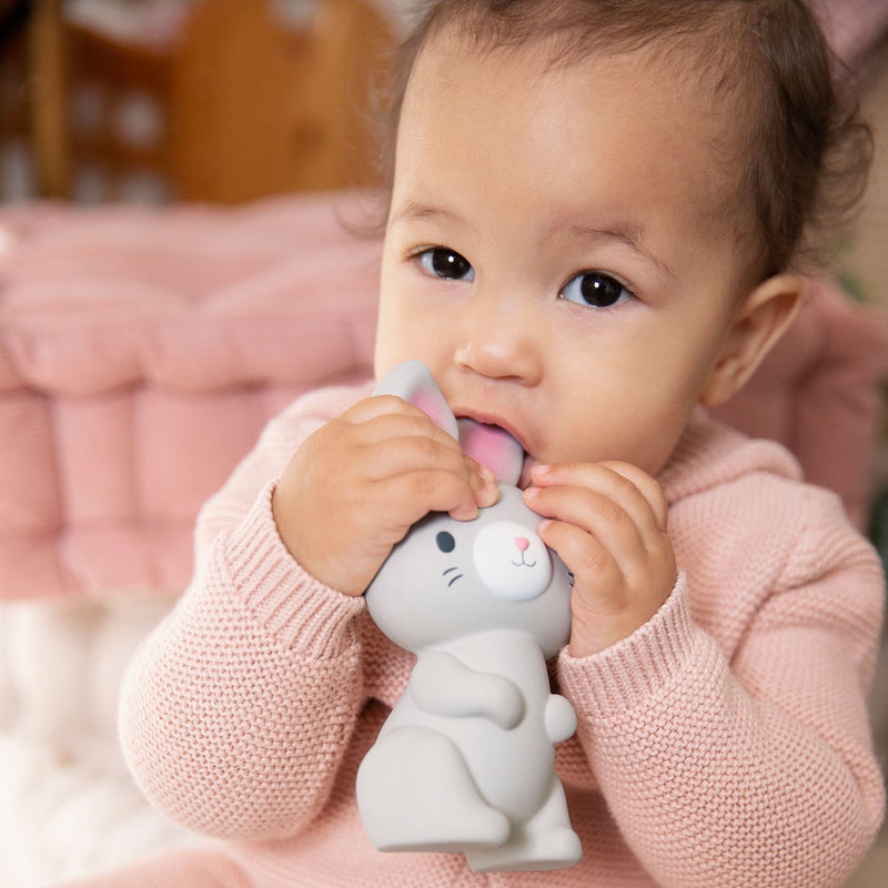 inGenuity - Sylvi™ Natural Rubber Teether